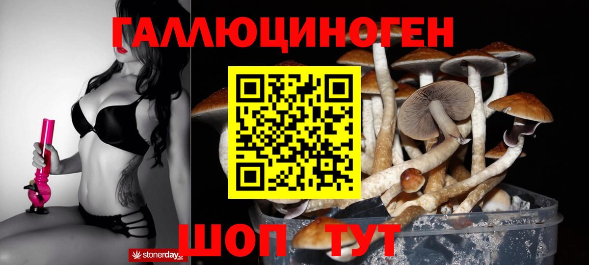 Галлюциногенные грибы Psilocybine cubensis Шебекино