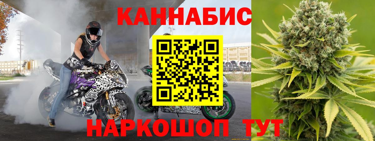 Канабис гибрид Шебекино